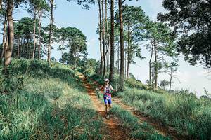 BIB: 
                            <button type="button" onclick="openModal(25672518)" class="btn btn-primary btn-sm float-right btn-popup" data-toggle="modal" data-target=".modal-high-quality">
                        <i class="fas fa-shopping-cart"></i> Add to Cart
                    </button>
                                            <button type="button" onclick="isThisMe(25672518, true)" class="btn btn-success btn-sm float-right btn-popup btn-isme hidden" data-toggle="tooltip" data-placement="bottom" title="นี่คือรูปของคุณใช่ไหม คลิกที่นี่เพื่อเอาเข้าอัลบั้ม">
                        <i class="fas fa-plus"></i> Add to album
                    </button>
                    <button type="button" onclick="isThisMe(25672518, false)" class="btn btn-warning btn-sm float-right btn-popup btn-isnotme hidden">
                        <i class="fas fa-ban"></i> Remove from album
                    </button>